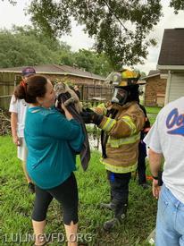2023 cat rescue